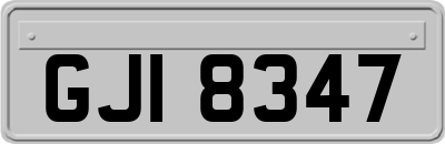 GJI8347