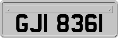 GJI8361