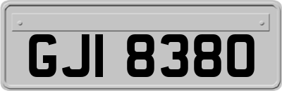 GJI8380