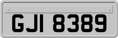 GJI8389