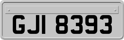 GJI8393