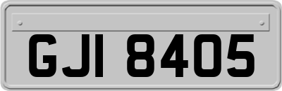 GJI8405