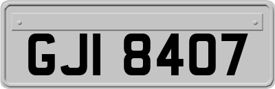 GJI8407