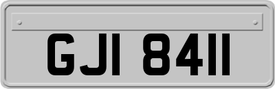 GJI8411