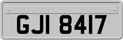 GJI8417