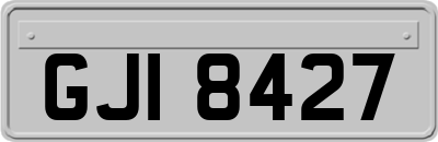 GJI8427