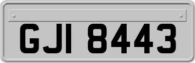 GJI8443