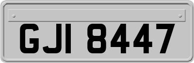 GJI8447