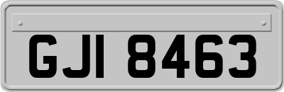 GJI8463