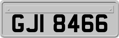 GJI8466