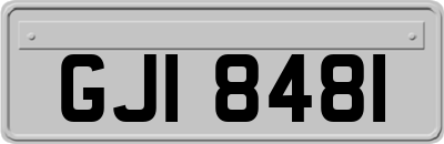 GJI8481