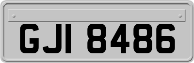 GJI8486