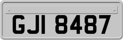 GJI8487