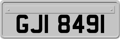 GJI8491