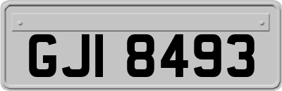 GJI8493