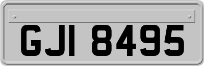 GJI8495