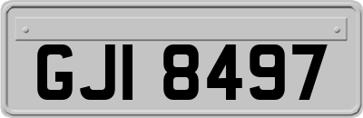 GJI8497