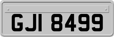 GJI8499