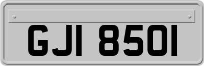 GJI8501