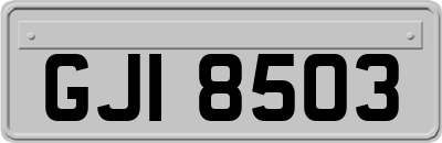 GJI8503
