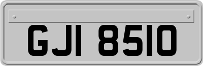 GJI8510