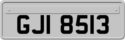 GJI8513