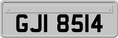 GJI8514