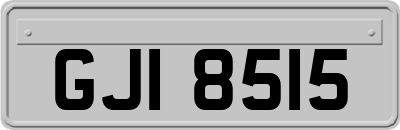 GJI8515