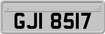 GJI8517