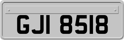 GJI8518