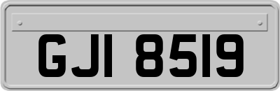 GJI8519