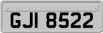 GJI8522