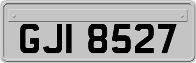GJI8527