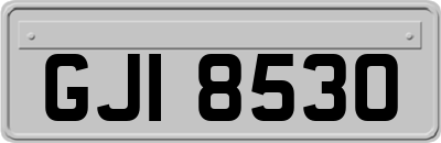 GJI8530