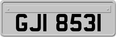 GJI8531