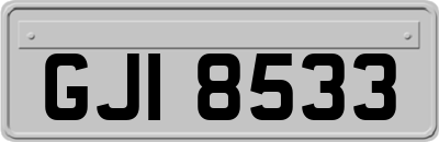 GJI8533