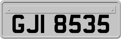 GJI8535