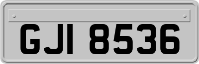 GJI8536