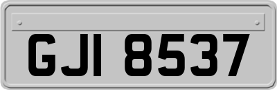 GJI8537