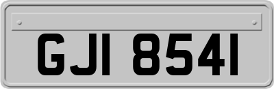 GJI8541