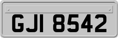 GJI8542