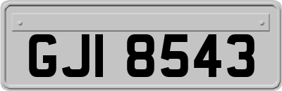 GJI8543