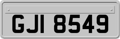 GJI8549