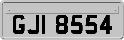 GJI8554