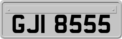 GJI8555