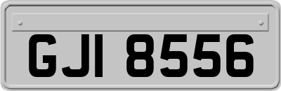 GJI8556