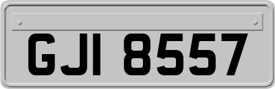 GJI8557