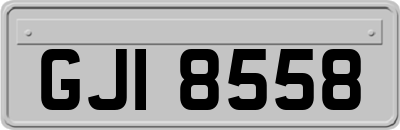 GJI8558