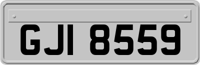 GJI8559