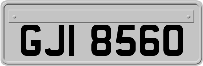 GJI8560